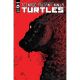 Teenage Mutant Ninja Turtles #141 Cover B Eastman