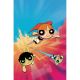 Powerpuff Girls #1 Cover R 1:40 Romero Virgin