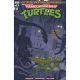 Teenage Mutant Ninja Turtles Saturday Morning Adventures #15