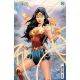 Wonder Woman #11 Cover C Tony S Daniel Card Stock Variant