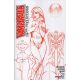 Vampirella Dark Reflections #3 Cover R 1:11 Linsner Red Line Art