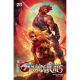 Thundercats #12 Cover D Tao