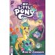 My Little Pony Rise Of Cadance #1 Cover B Scruggs