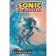 Sonic The Hedgehog Best Of Shadow #1