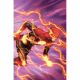 Flash #17 Cover B Dike Ruan Card Stock Variant