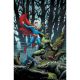 Batman Superman Worlds Finest #35 Cover B Frank Cho Card Stock Variant