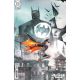 Batman And Robin #17 Cover C Dustin Nguyen Card Stock Variant