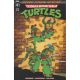 Teenage Mutant Ninja Turtles Saturday Morning Adventures #9 Cover B Schoening