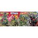 Select Exclusive Teenage Mutant Ninja Turtles Mutant Nation #1 (Signed)