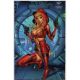 Fairy Tale Team-Up Robyn Hood & Red Agent Cover E 1:20 Foc