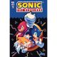 Sonic The Hedgehog #76 Cover C 1:10 Fourdraine