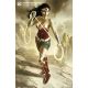 Wonder Woman #767 Cover B Joshua Middleton Card Stock Variant