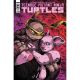 Teenage Mutant Ninja Turtles #134 Cover B Eastman