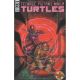 Teenage Mutant Ninja Turtles #135