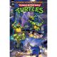 Teenage Mutant Ninja Turtles Saturday Morning Adventures #3 Cover C Meyer