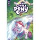 My Little Pony #19 Cover B Scruggs