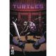 Teenage Mutant Ninja Turtles #4 Cover B Burnham