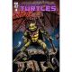 Teenage Mutant Ninja Turtles #4 Cover C Eastman