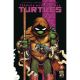 Teenage Mutant Ninja Turtles #4 Cover D Gonzo