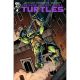 Teenage Mutant Ninja Turtles #4 Cover G 1:50 Robertson