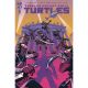 Teenage Mutant Ninja Turtles #5 Cover B Chan