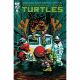 Teenage Mutant Ninja Turtles #5 Cover D Gonzo