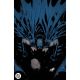 Batman Uncovered #1 Cover D David Nakayama Foil Variant