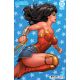 Wonder Woman #15 Cover B David Nakayama Card Stock Variant