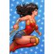 Wonder Woman #15 Cover B David Nakayama Card Stock Variant