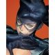 Catwoman #70 Cover C Homare Card Stock Variant