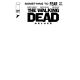 Walking Dead Deluxe #100 Cover J Blank Sketch Variant