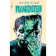 Universal Monsters Frankenstein #4