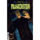 Universal Monsters Frankenstein #4 Cover E 1:50 Stephanie Pepper Variant